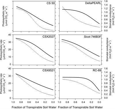 Genotypic variability in cotton's transpiration response under progressive soil drying